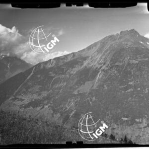 Staz. 3 - Valtellina: Fianco Est Monte Masuccio - Località presa: Alpe di Tavello - LN00015329