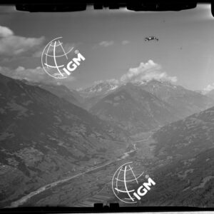 Staz. 3 - Valtellina: Fianco Est Monte Masuccio - Località presa: Alpe di Tavello - LN00015331
