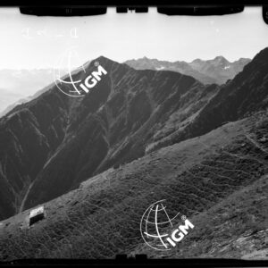 Staz. 10 - Valtellina:  Versante Nord Monte Storile - Località presa: Ovest La Pozza - LN00015383
