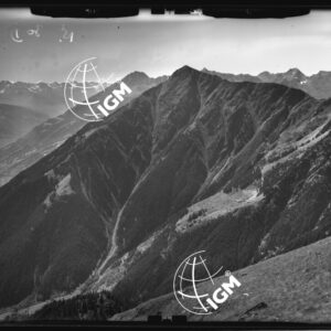 Staz. 10 - Valtellina:  Versante Nord Monte Storile - Località presa: Ovest La Pozza - LN00015385