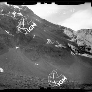 Staz. 16 - Valtellina: Dosso dei Mot - Località presa: Dosso dei Mot - LN00015425
