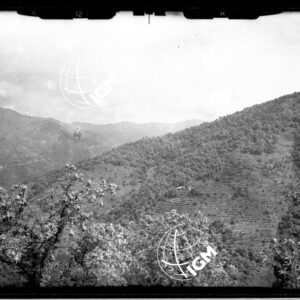 "Staz. H - M. Vetta Val di Buggio: Valle di Buggio - Località presa: M. Vetta, R.ne Arlenghi" - LN00015436