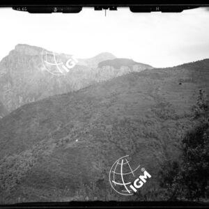 Staz. R - M. Vetta Val di Buggio: Prearba Sud Est Taraggio - Località presa: Monte Carmo - LN00015494