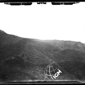 Staz. Q - M. Vetta Val di Buggio:  Val del Corvo Cima le Selle - Località presa: R.ne Colletta di Aimin - LN00015499