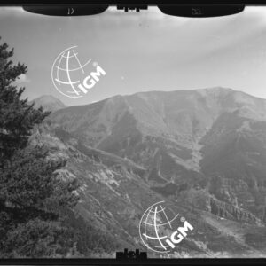 "Staz. D - M. Vetta Val di Buggio: Bertrando B. Crocene - Località presa: Monte Corto, Monte Tavan" - LN00015525