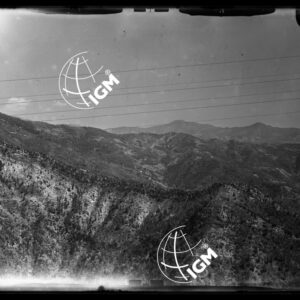 Staz. 16 R - M. Vetta Val di Buggio: Erisetta Tramontina - Località presa: Monte Pozzo - LN00015803