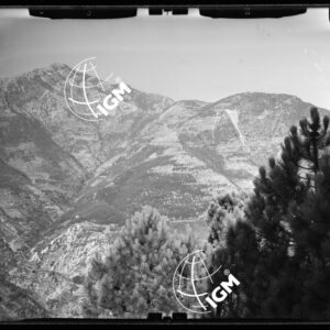 Staz. 24 Z - M. Vetta Val di Buggio: Monte Grammondo Confine - Località presa: Colle di Bevera - LN00015821