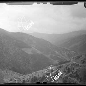 Staz. I - M. Vetta Val di Buggio: Vallata di Morignolo - Località presa: Cima Ugaglio - LN00015893