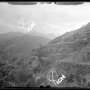 Staz. I - M. Vetta Val di Buggio: Vallata di Morignolo - Località presa: Cima Ugaglio - LN00015894
