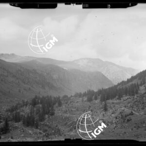 Staz.D - M. Vetta Val di Buggio: stazione D: Valle Miniera - Località presa: St. mil. Valle Miniera - LN00015957