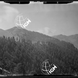 "Staz. E - M. Vetta Val di Buggio: stazione E: Monte Agnellino, Cima Nauca, R. Luna - Località presa: Costa Buffa" - LN00015969