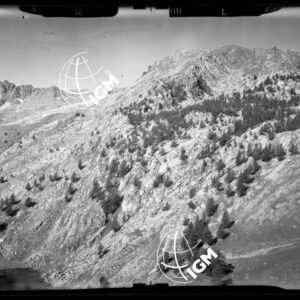 "Staz. L - M. Vetta Val di Buggio: Stazione L: Valle Fontanalba, Cianoraireo, M. Rosso - Località di presa: Pendici Paracuerta" - LN00016014