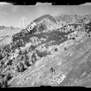 "Staz. L - M. Vetta Val di Buggio: Stazione L: Valle Fontanalba, Cianoraireo, M. Rosso - Località di presa: Pendici Paracuerta" - LN00016017