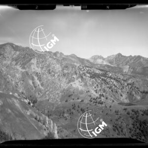 "Staz. N - M. Vetta Val di Buggio: Monte Paracuerta, S. M. Maria - Località di presa: R. Rocca" - LN00016030