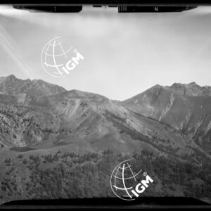 "Staz. N - M. Vetta Val di Buggio: Monte Paracuerta, S. M. Maria - Località di presa: R. Rocca" - LN00016031