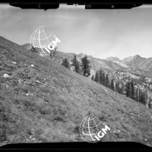 "Staz. N - M. Vetta Val di Buggio: Monte Paracuerta, S. M. Maria - Località di presa: R. Rocca" - LN00016033