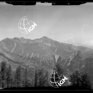 "Staz. N - M. Vetta Val di Buggio: Monte Paracuerta, S. M. Maria - Località di presa: R. Rocca" - LN00016035