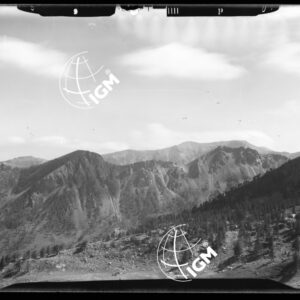 "Staz. P - M. Vetta Val di Buggio: Stazione P: R. Rossa, Agnellino, Cianvraireo - Località di presa: Pendici Paracuerta" - LN00016045