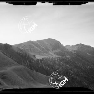 "Staz. R - M. Vetta Val di Buggio: N. Casterino, Monte Paracuerta - Località di presa: Pendici Barsenzana" - LN00016049