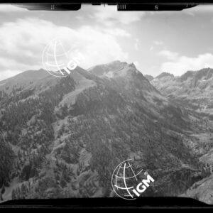 "Staz. S - M. Vetta Val di Buggio: Valmasca, M. Casterino - Località di presa: Pendici Barsenzana" - LN00016054