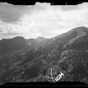 "Staz. S - M. Vetta Val di Buggio: Valmasca, M. Casterino - Località di presa: Pendici Barsenzana" - LN00016056
