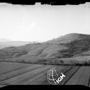 Staz. 1 - Val di Cecina - Ponteginori - Località di presa: Ponteginori - LN00016099