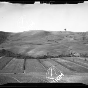 Staz. 1 - Val di Cecina - Ponteginori - Località di presa: Ponteginori - LN00016103