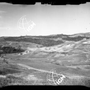 Staz. 4 - Val di Cecina - Ponteginori - Località di presa: Ponteginori - LN00016117