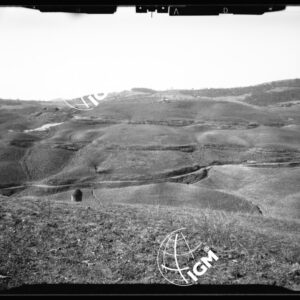 Staz. 8 - Ponteginori - Val di Cecina - LN00016138