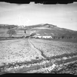 Staz. 17 - Ponteginori - Val di Cecina - LN00016176