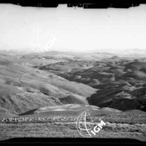 Staz. 22 - Ponteginori - Val di Cecina - LN00016187