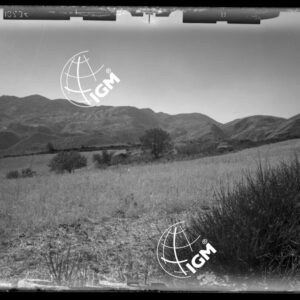 Staz. 1 - Roccamandolfi - Isernia - LN00016257