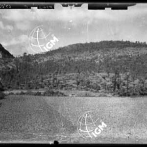 Staz. F14 - Tanagro - Valle delle Canne - Salerno - LD00000116