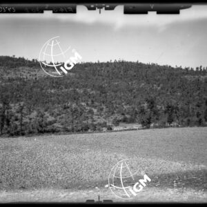 Staz. F14 - Tanagro - Valle delle Canne - Salerno - LD00000117