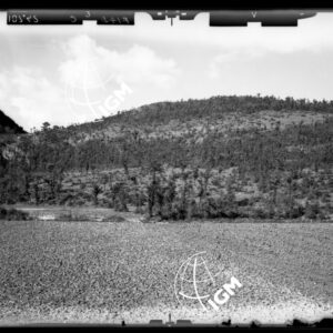 Staz. F14 - Tanagro - Valle delle Canne - Salerno - LD00000118