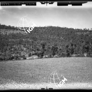 Staz. F14 - Tanagro - Valle delle Canne - Salerno - LD00000119