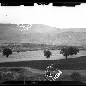 Staz. 1 - Zona Castovillari - LN00016447