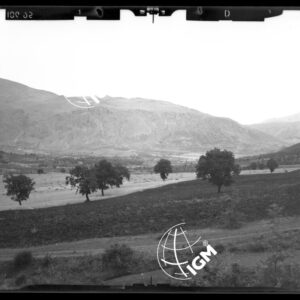 Staz. 1 - Zona Castovillari - LN00016448