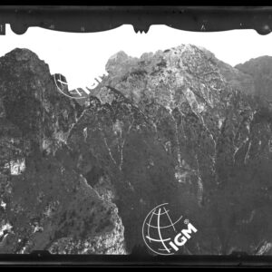 Staz. 5 - Bellunese - Monte Pelf - LN00016504