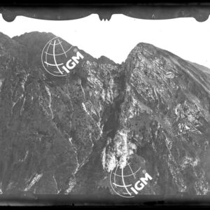 Staz. 5 - Bellunese - Monte Pelf - LN00016505