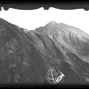 Staz. 5 - Bellunese - Monte Pelf - LN00016506