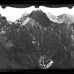 Staz. 5 - Bellunese - Monte Pelf - LN00016507
