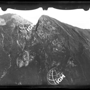 Staz. 5 - Bellunese - Monte Pelf - LN00016509