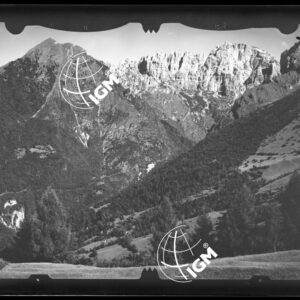 Staz. 6 - Bellunese - Monte Pelf - De Roanze contr. Pale Alte - LN00016516
