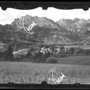 Staz. 8 - Bellunese - Monte Pelf - - LN00016521