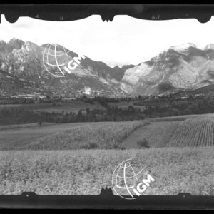 Staz. 8 - Bellunese - Monte Pelf - - LN00016522