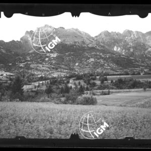 Staz. 8 - Bellunese - Monte Pelf - - LN00016524