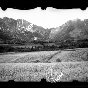 Staz. 8 - Bellunese - Monte Pelf - - LN00016525