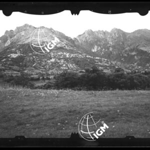 Staz. 8 - Bellunese - Monte Pelf - - LN00016527