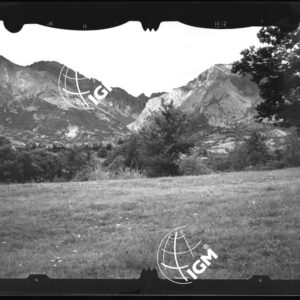Staz. 8 - Bellunese - Monte Pelf - - LN00016528